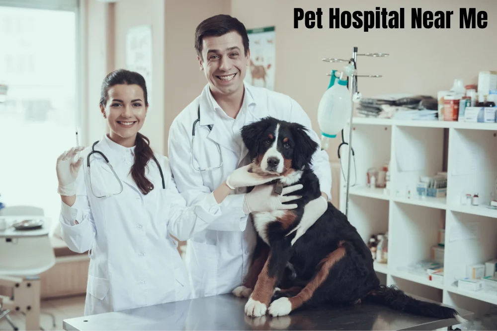 Pet Hospital Near Me