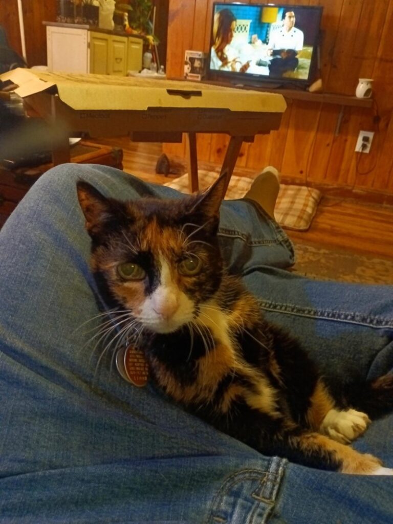 10-Year-Old Child to a 31-Year-Old Adult