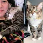 Woman Takes Shelter Cat into Her Care to Give Him Soft Landing, the Cat Decides He's Not Going Anywhere
