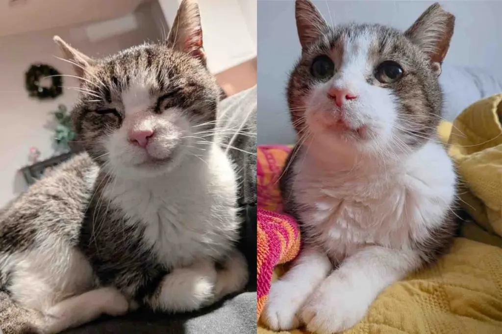 Streets and Watch Him Shine