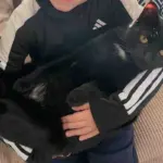 Sanitation Workers Found Abandoned Kitten Just in Time, Months Later that Young Cat Has the Happiest Ending